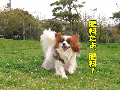 �����롦������