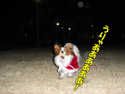 ÌÂÏǤʥµ¥ó¥¿¡¦¡¦¡¦¥