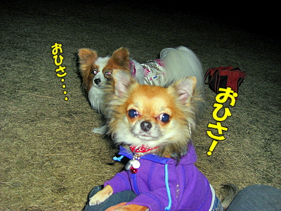 Åß»ê¤Î˺ǯ²ñ¨
