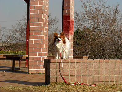 ǯ±Û¤·¡¦¡¦¤«¡Ê´À¦