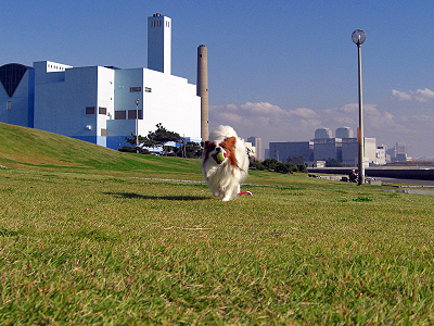 X'mas¥×¥ì¥¼¥ó¥È¡ª£