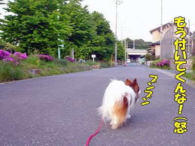 Áð¤ÎÃæ¤òÊ⤯¤È¡¦¡¦¡¦©
