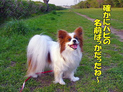 �����¿��������orz��