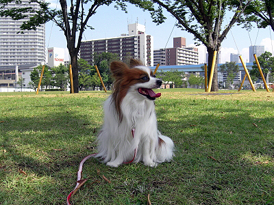 Ǯ���Ʋ�����ԡ˭�