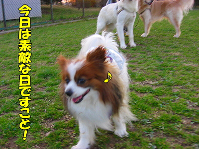 ¤ª¤Þ¤»¤Ê¥µ¥¶¥Ó¡¼¨