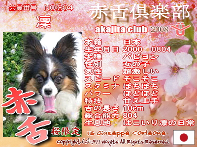 804-rin-2008saku¶