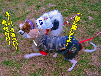 ¥¢¥í¥¢¥Þ¥Þ¤òõ¤»¡ª§