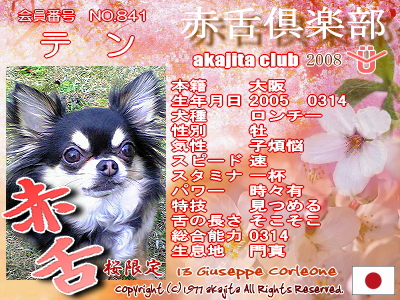 841-ten-2008saku¶