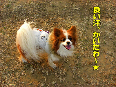 ¤ª¤Þ¤»¤Ê¥µ¥¶¥Ó¡¼¥