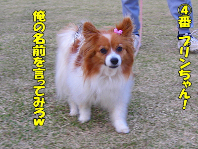 �����¿��������orz��