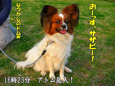 ¥¢¥È¥àºÇ¶¯¡©£