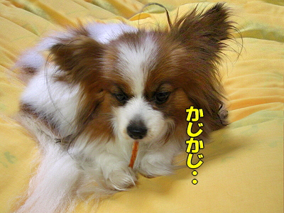 ¥µ¥¶¥Ó¡¼¤ÎÉʳʫ