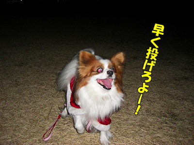 ÌÂÏǤʥµ¥ó¥¿¡¦¡¦¡¦¤