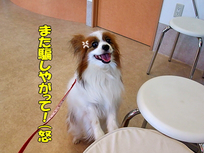 ¼ê½Ñ¡¦¡¦¡¦¡¦¨