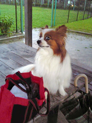 狼Íè¤Ê¤¤¤«¤Ê¤¢¡¦¡¦¡¦¡¦