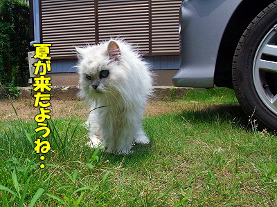 ¥é¥é¡¢¸µµ¤¤Ç¤¹¡ú¥