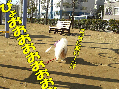 ¤Þ¤À¤Þ¤À¶¯É÷¡£¡£orzª