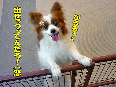 ¥¢¥ó¥Ç¥£¥«¥Õ¥§¡ú¬