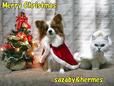¡ù¡ú¡ùMerry Christmas¡ù¡ú¡ù¦