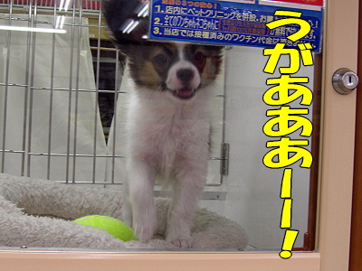 �쿨¨ȯ��������
