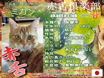 420-mikan-2008may