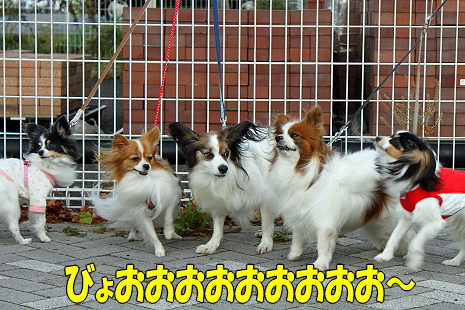 ³¡¹¡¦¤µ¤¤Ã¤Ä¤¡¤ó¥ª¥Õ¢ö²