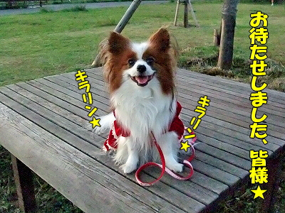 ���λҤ�̾���ϡ���