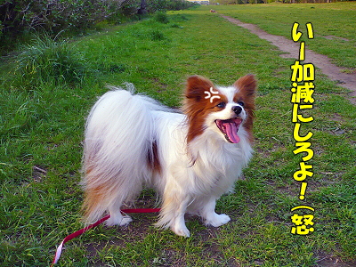 �����¿��������orz��