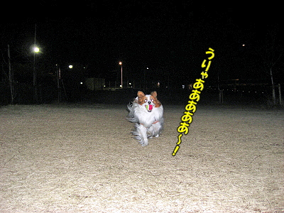 ËÌÉ÷¤ÎÃæ«