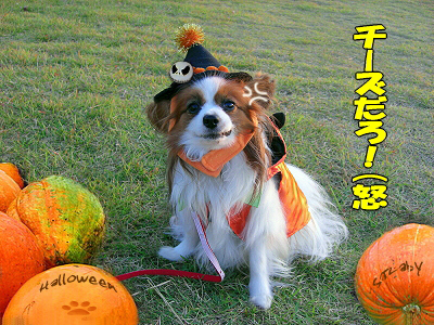 ���ܥ����粦��