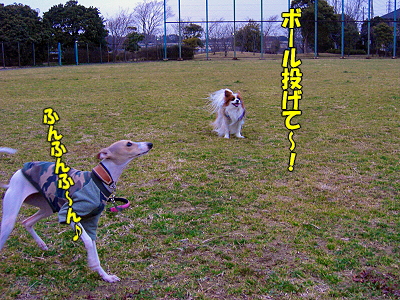 郎°ìÈÖ¡¦¡¦¡¦¡¦§