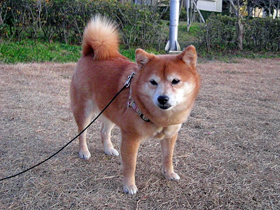 ËÌÉ÷¤ÎÃæ¥