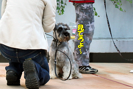 ��ĥ�졢�Фբ��ʸ��ӡ˭�