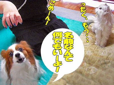 ¥¹¥¿¥ó¥×ºî¤ê¤