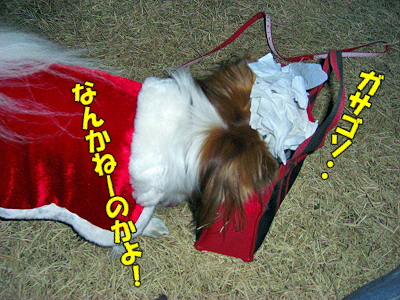 ÌÂÏǤʥµ¥ó¥¿¡¦¡¦¡¦¦