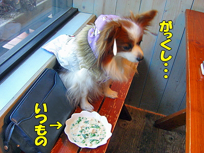 �ޥ���������ե���