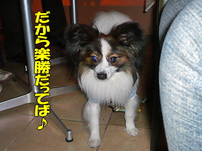 ͼ¿©²ñª