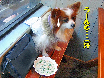�ޥ���������ե���