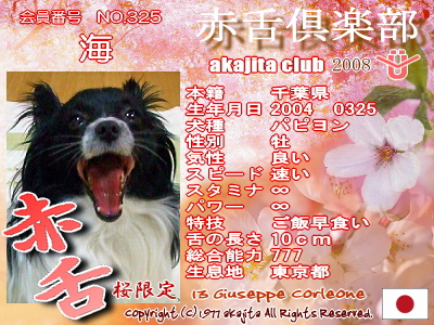 325-kai-2008saku¶
