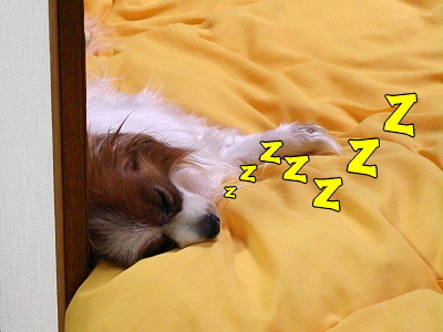 ��ǰ�껣�ƣ�����
