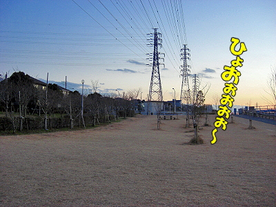 ǯ²ì¾õ¨