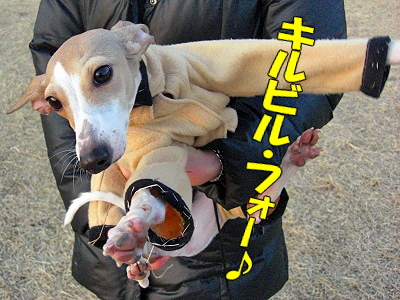 ��ä��ޤ��ʡ���