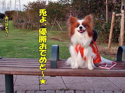 �׻��ٶ�orz��