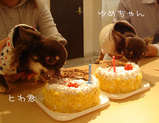 20080928