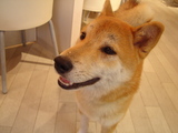 画像 012