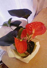 200908231411000