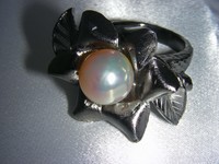 2009828rutiru 005