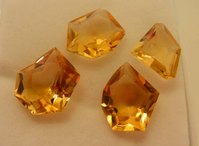 20091023bule-topaz 006
