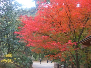 栗林公園
