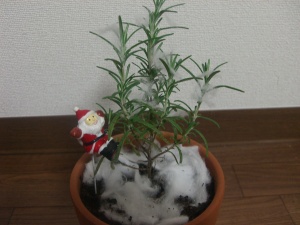 クリスマスツリー